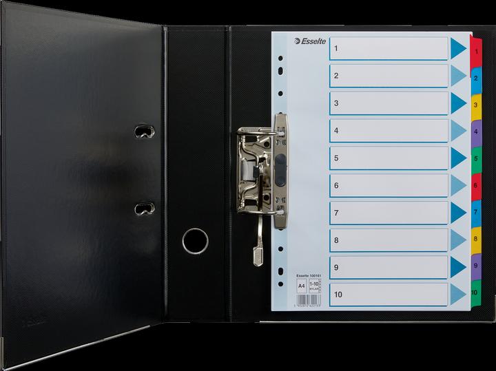 Actual product image Esselte Cardboard register Mylar, various designs, single