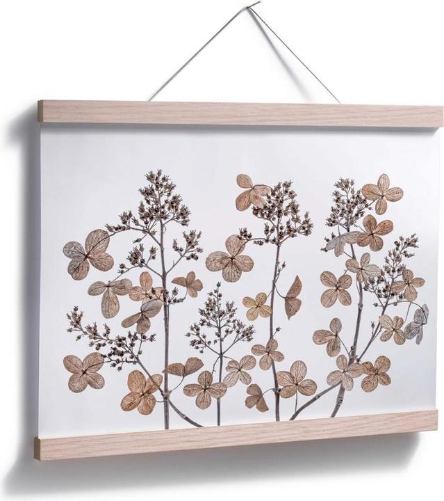 Produktbild Trenddeko Getrocknete Blumen (50 x 40 cm)
