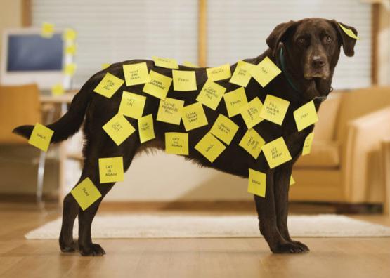 Immagine prodotto Post-it Super appiccicoso (76 x 76 mm)
