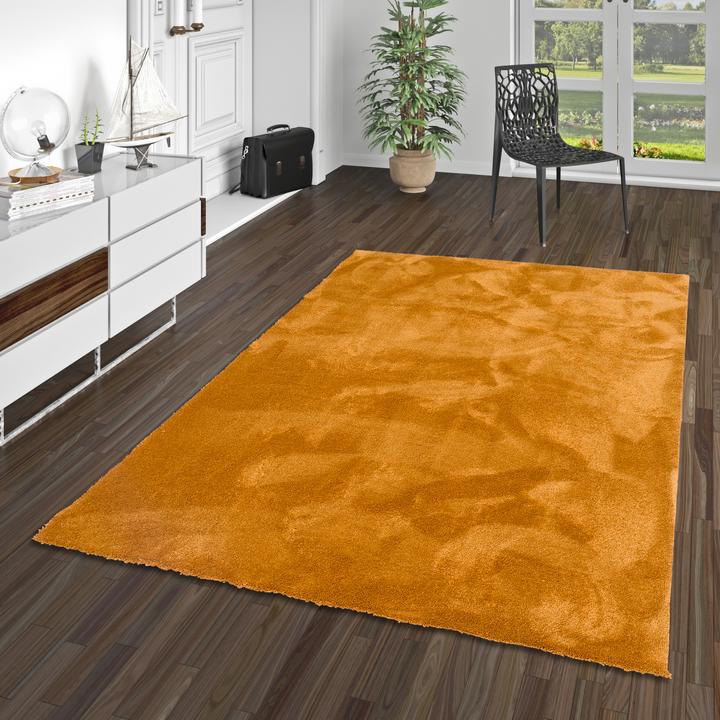 Actual product image Snapstyle Super Soft Hochflorteppich Livorno (80 x 240 cm)