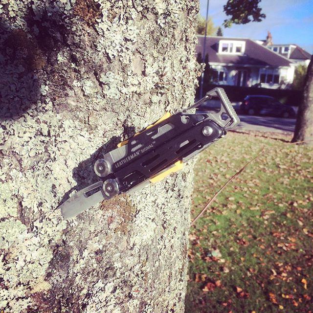 Actual product image Leatherman Signal Samurai Edition Damascus (19 Functions)