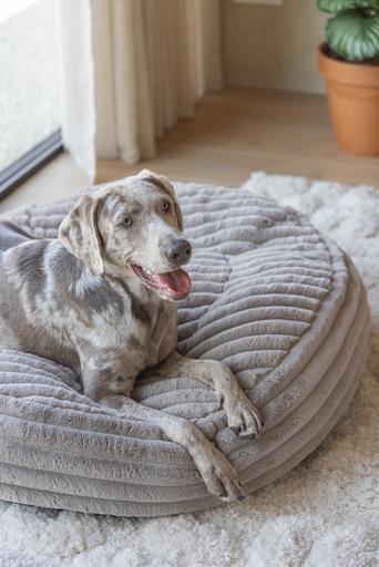 Actual product image Designed by Lotte Reza reclining cushion (Dog)