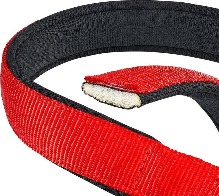 Produktbild Ferplast Daytona C20/43 - Hundehalsband rot (Hund)