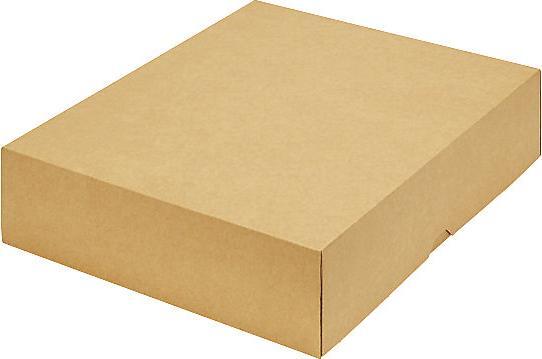 Produktbild Ratioform Stülpdeckelkarton (B4, 1000 x)