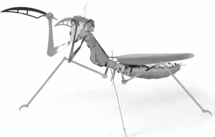Actual product image Metal Earth Praying Mantis (Praying Mantis)