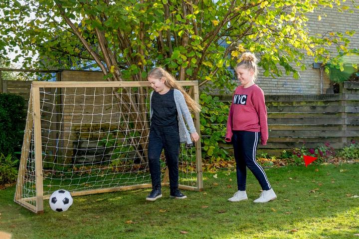 Actual product image Euro Play Homegoal Classic Junior