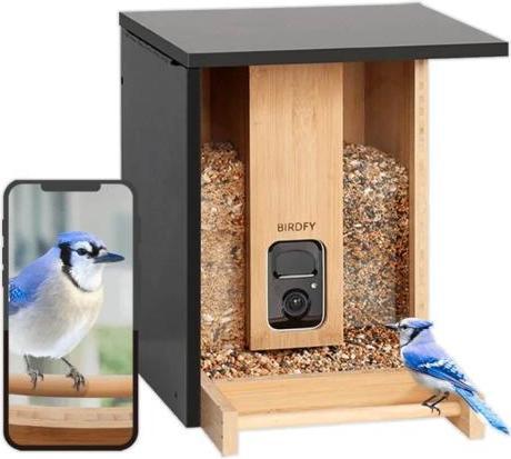 Actual product image Birdfy Feeder Bamboo AI by Subscription + Solar Panel