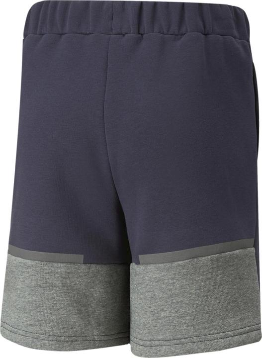 Actual product image Puma teamCUP Casuals Shorts Jr (164)