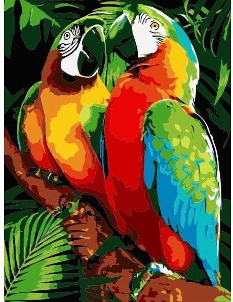 Twoje Hobby Malen nach Zahlen - 30x40cm Papageien