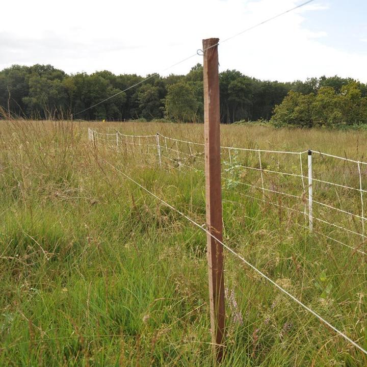 Actual product image Gallagher Insultimber/Eco (x1000)