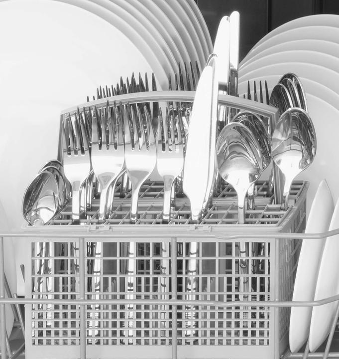 Actual product image Amica EGSPV 597910 EB dishwasher 60cm fully integr. E 11L 49dB 5Prg HalfB