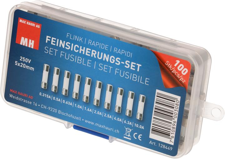 Produktbild Max Hauri Feinsicherungs-Set 10x10 Stk. (0.32 A)
