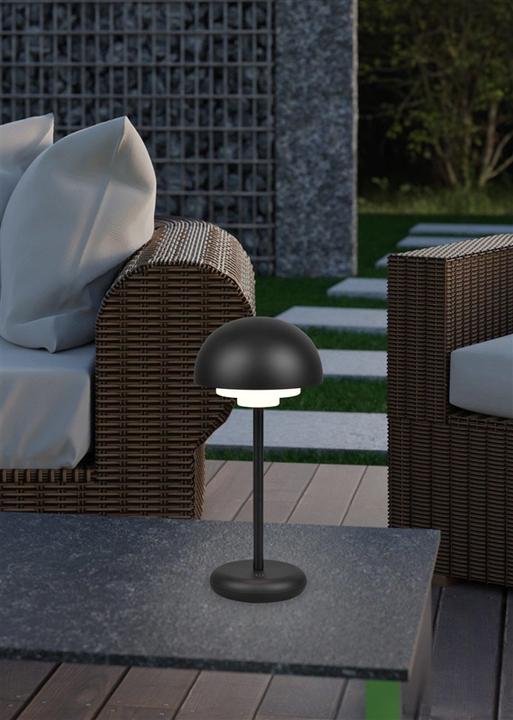 Actual product image Trio Table lamps (180 lm)