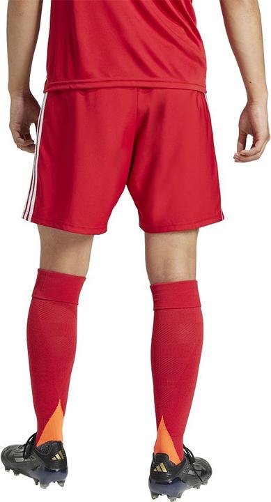 Actual product image adidas Tastigo25 Short (XS)