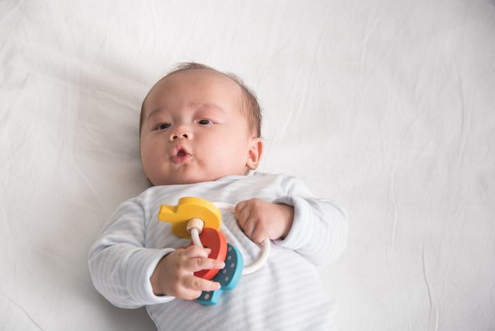 Actual product image Plantoys Baby key