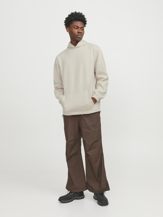 Actual product image Jack & Jones Jcoaltitude Sweat Hood Sn (S)