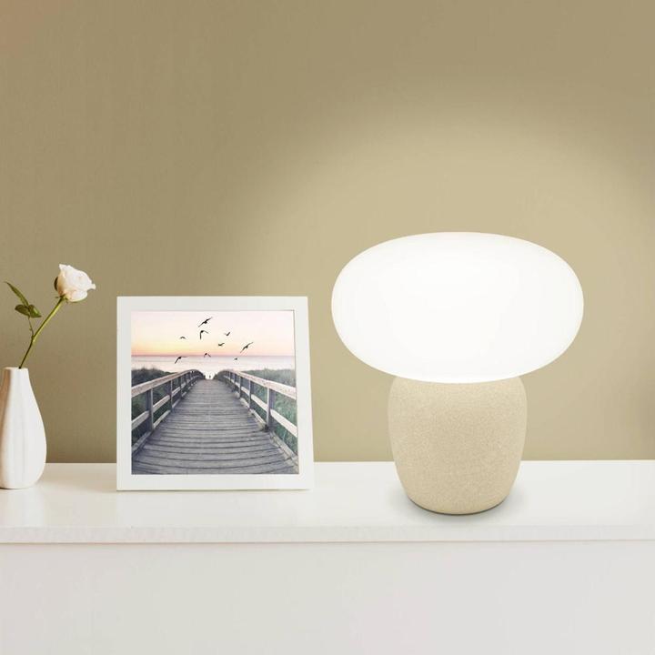 Actual product image EGLO LED table lamp (E27)