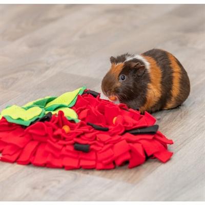 Actual product image Trixie Snuffelmat Aardbei Rood - 40X33 Cm