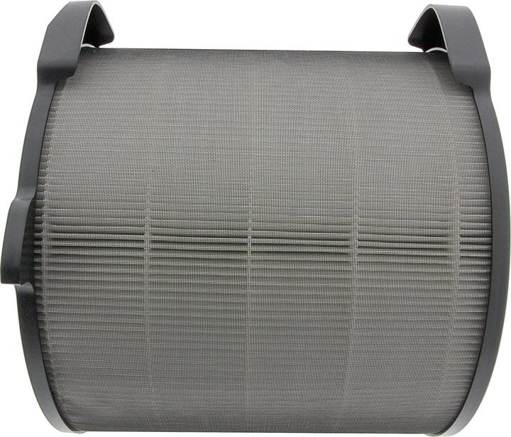 Actual product image Flickbee Filter for Electrolux Pure A9- replaces EFDBRZ4 (1 x)