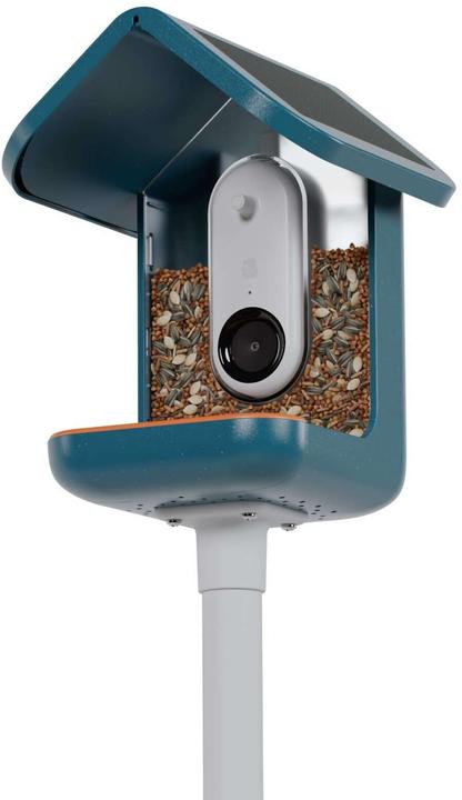 Immagine prodotto Bird Buddy Distributore di cibo