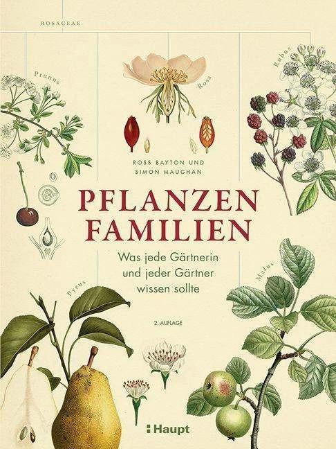 Pflanzenfamilien (Tedesco, Ross Bayton, Granchio Wiebke, Simon Maughan, 2023)