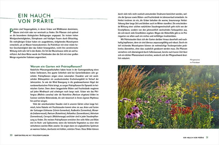 Produktbild Die schönsten Pflanzen, die wenig Wasser brauchen für Garten, Balkon und Terrasse - 66 (Deutsch, Ursula Kopp, 2020)