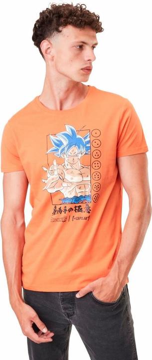 Capslab Dragon Ball - Son Goku - S Grosse (S)