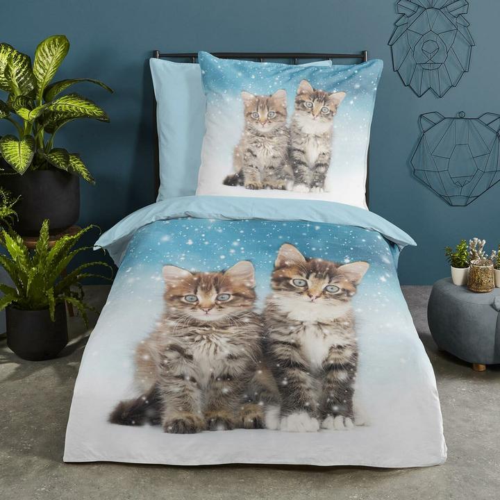 Produktbild Traumschlaf Katzen