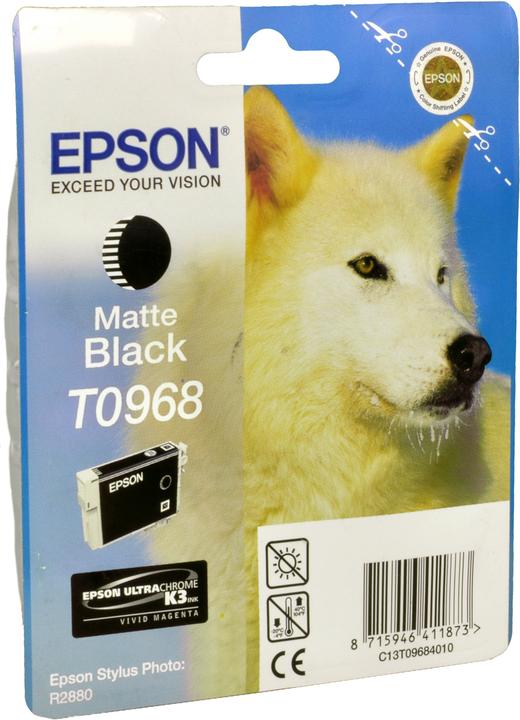 Actual product image Epson T0968 (FC)