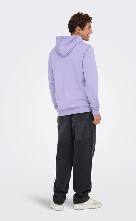 Immagine prodotto Only & Sons Onsceres Hoodie Sweat Noos (M)