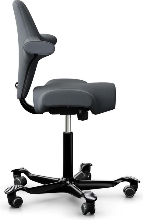 Produktbild HAG Capisco 8106 SELECT