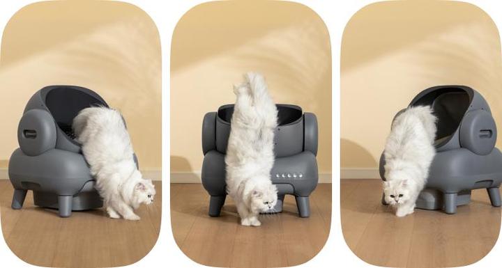 Produktbild Neakasa M1 Katzentoilette (Selbstreinigendes Katzenklo)