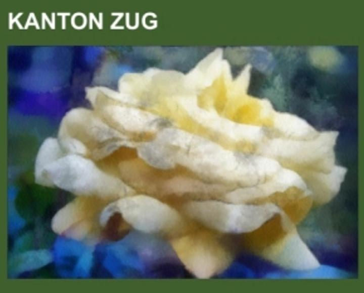 Produktbild Kanton Zug (Deutsch, Books LLC, 2013)