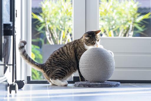 Actual product image Karlie Scratching ball Bolly (28 cm, Grey)