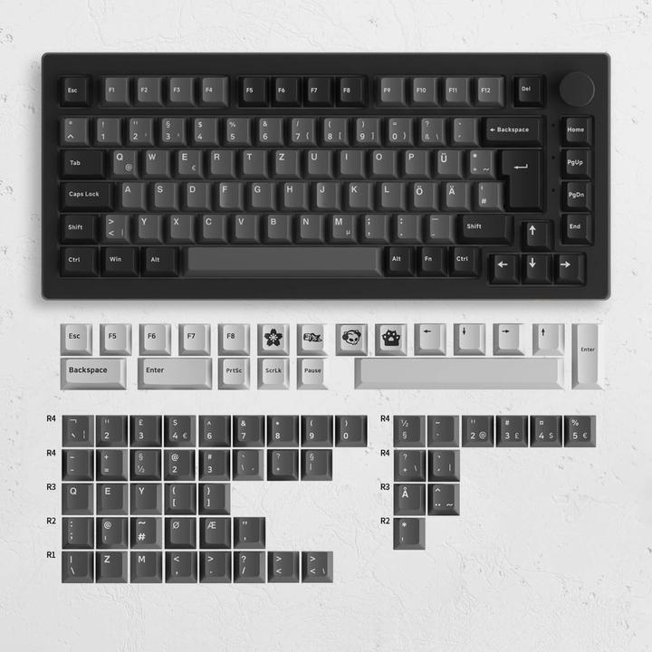 Image du produit Akko 5075B Plus S (DE, Filaire, Docking, Sans fil)
