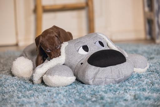 Actual product image Beeztees Boomby (Puppy Toy)