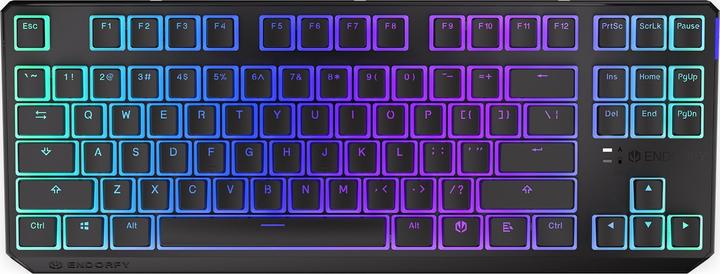 Actual product image Endorfy Thock TKL Wireless Mechanical Keyboard with RGB Pudding Edition (USA, Kailh Red Switch) (US, Cable)