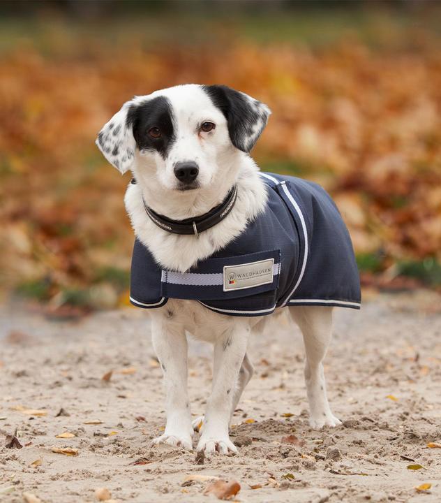 Produktbild Waldhausen Comfort (55, Hundemantel)