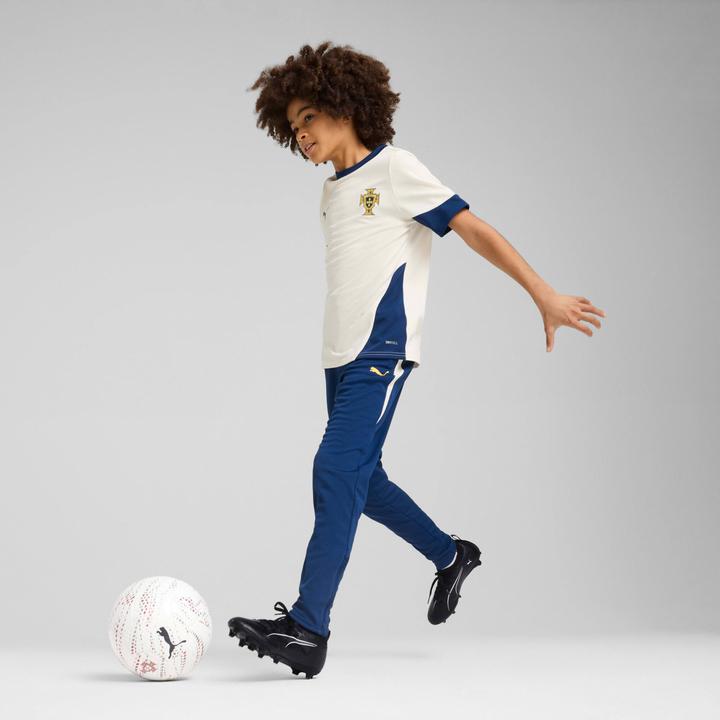 Actual product image Puma FPF Training Jersey Jr (140)