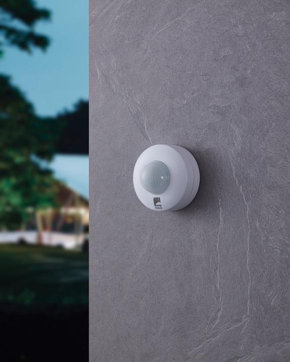 Actual product image EGLO Detect ME (12 m)