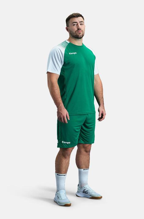 Actual product image Kempa Shorts Performance (L)