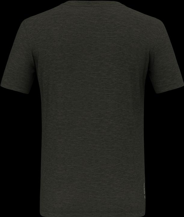 Actual product image Salewa Eagle Minilogo Merino T-Shirt (L)