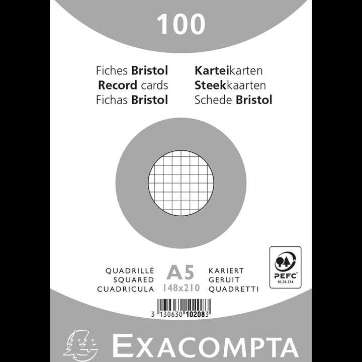 Image du produit Exacompta Fiches (A4, 205 g/m², 100 x)
