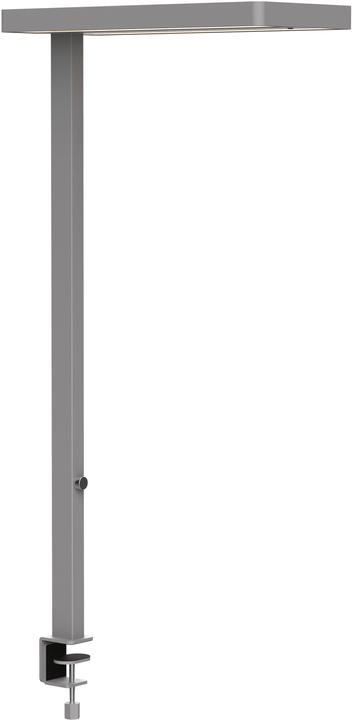 Image du produit Maul Lampe de bureau LED juvis sensor réglable (7200 lm)