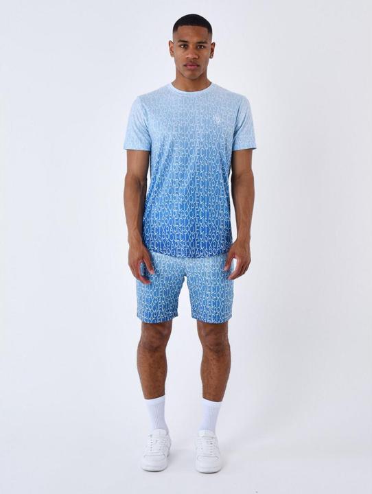 Actual product image Project X Paris two-tone, all-over gradient-effect t-shirt (M)