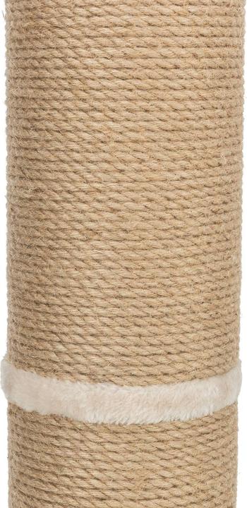 Produktbild Trixie Kratzstamm XXL Rue 80 cm (80 cm, Beige)