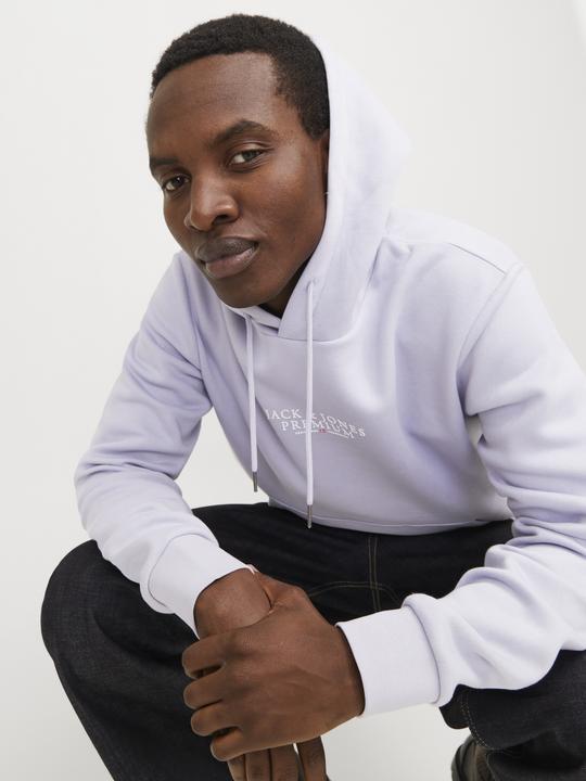 Produktbild Jack & Jones Logo Kapuzenpullover Kapuzenpullover (L)