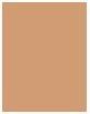 Actual product image Dermacol 24h Control (2K)