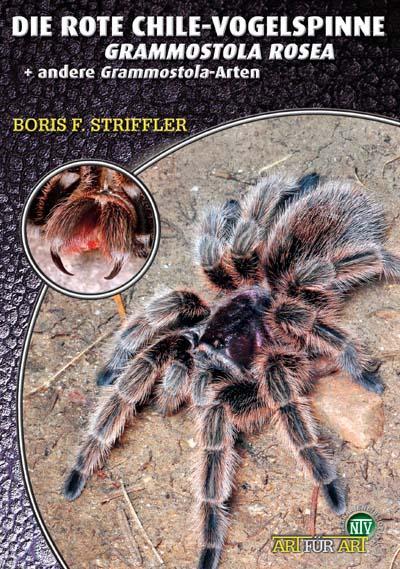 Die Rote Chile-Vogelspinne und andere Grammostola-Arten (Deutsch, Boris F. Striffler, 2019)
