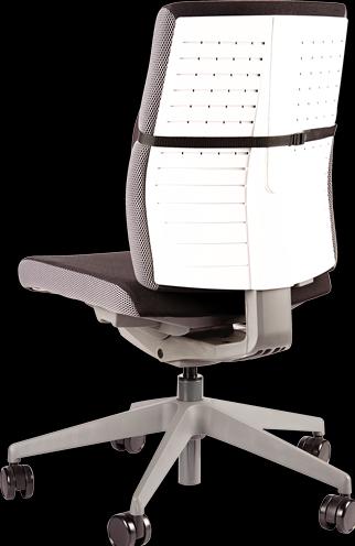 Actual product image Fellowes Back support Professonal Series